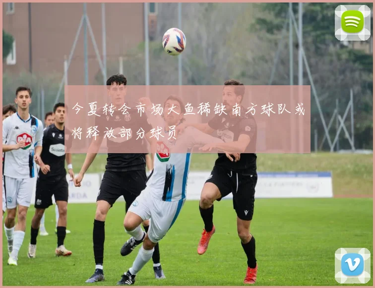 今夏转会市场大鱼稀缺南方球队或将释放部分球员